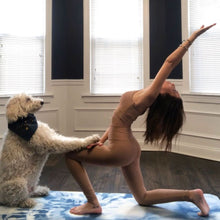 Load image into Gallery viewer, female on blue tie due yoga mat doing yoga post with white shaggy dog
