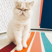 Load image into Gallery viewer, white cat on stripped yoga mat
