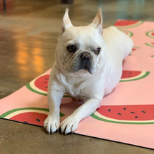 Load image into Gallery viewer, white dog laying on yoga mat with watermelon design
